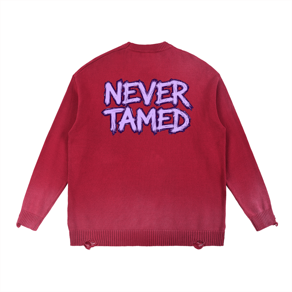 Sun Fade Distressed Ripped Crewneck Sweater - The Logo