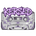 Kersed Apparel - Home
